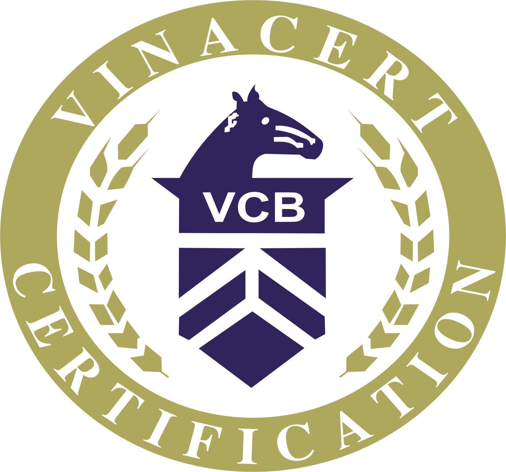 Teambuilding - Vinacert Ngàn Sao Hội Tụ