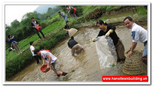 Teambuilding - Sống sót nơi Rừng Sâu