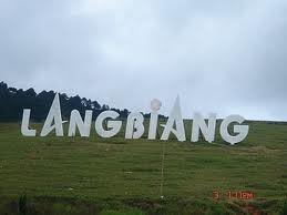 Địa điểm tổ chức team building tại Đà Lạt