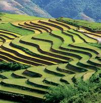 Địa điểm tổ chức team building gần Hà Nội