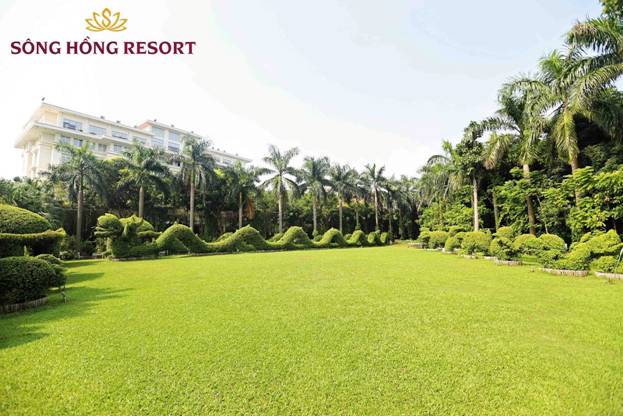 S&acirc;n cỏ rộng để tổ chức c&aacute;c hoạt động teambulding